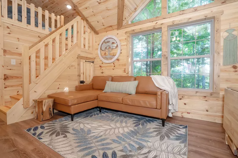 Birds Perch Hummingbird