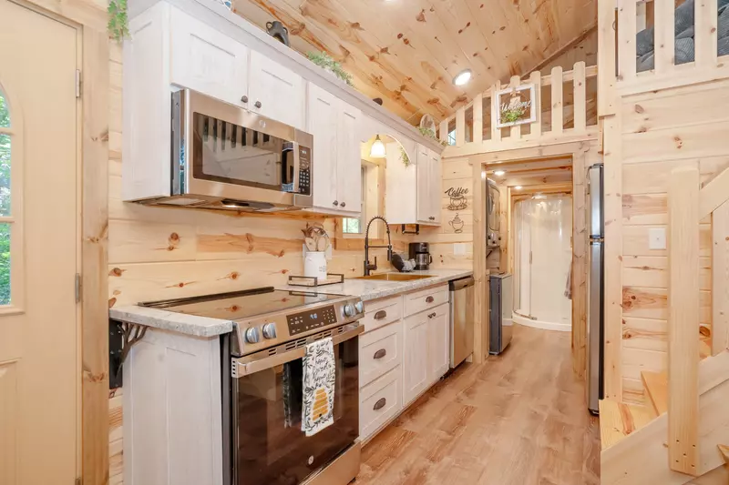 Birds Perch Hummingbird