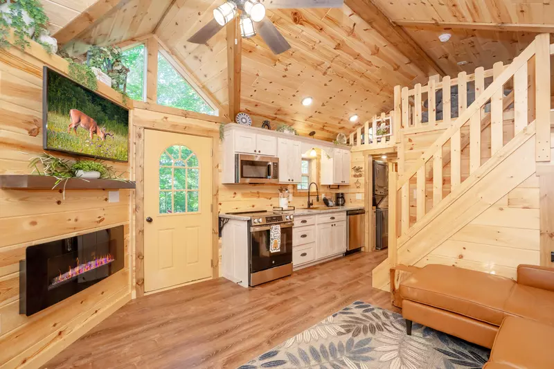 Birds Perch Hummingbird