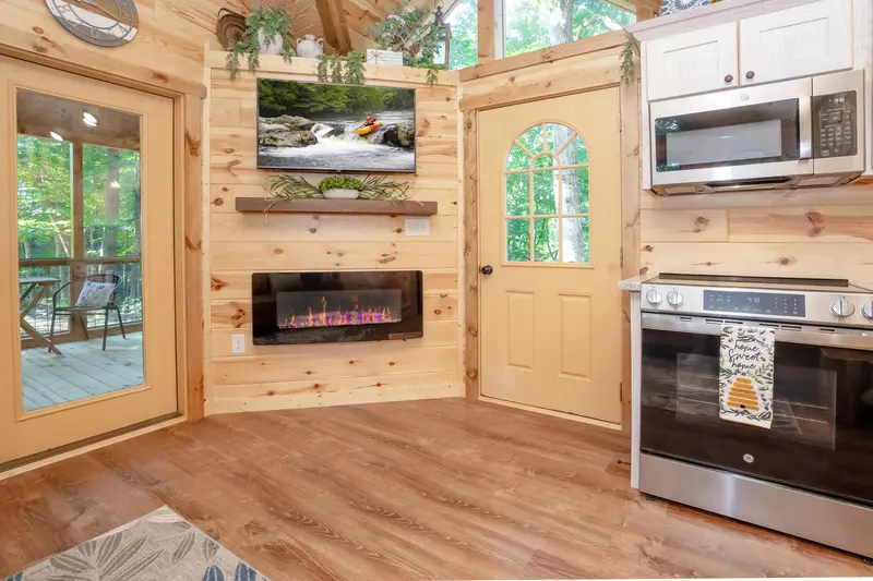 Birds Perch Hummingbird