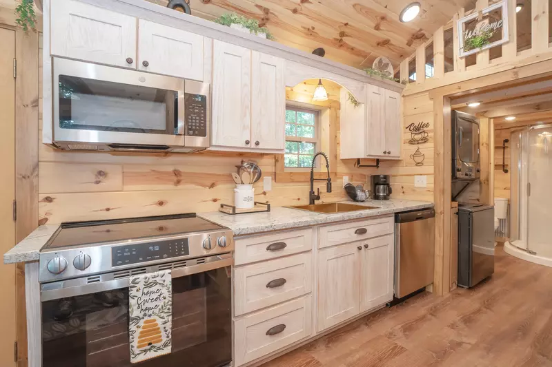 Birds Perch Hummingbird