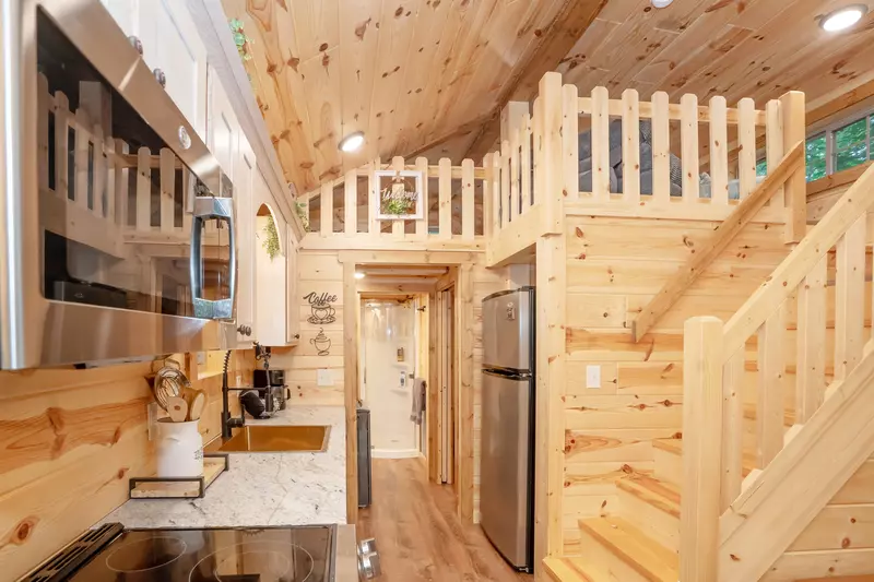 Birds Perch Hummingbird