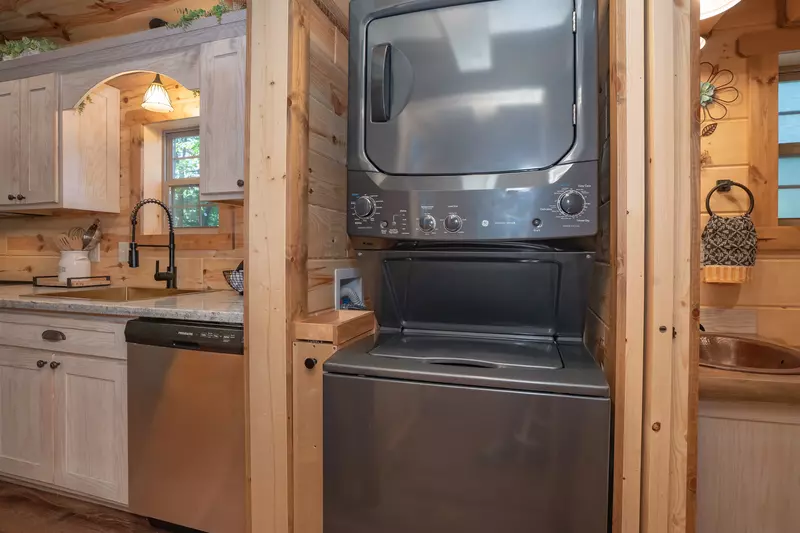 Birds Perch Hummingbird