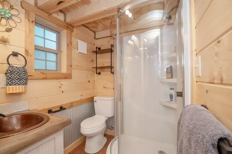 Birds Perch Hummingbird