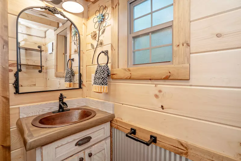 Birds Perch Hummingbird