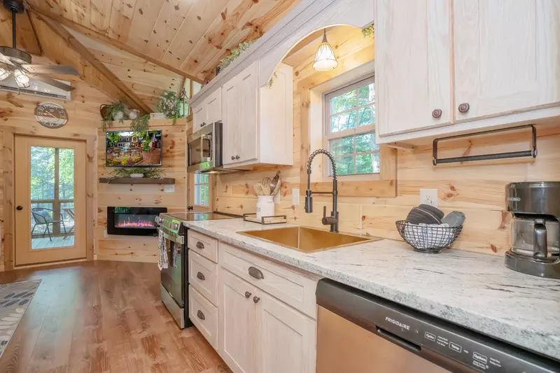 Birds Perch Hummingbird