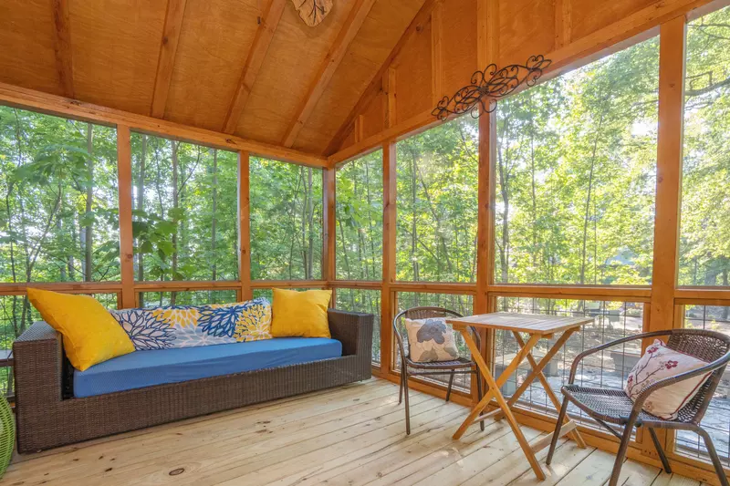 Birds Perch Hummingbird