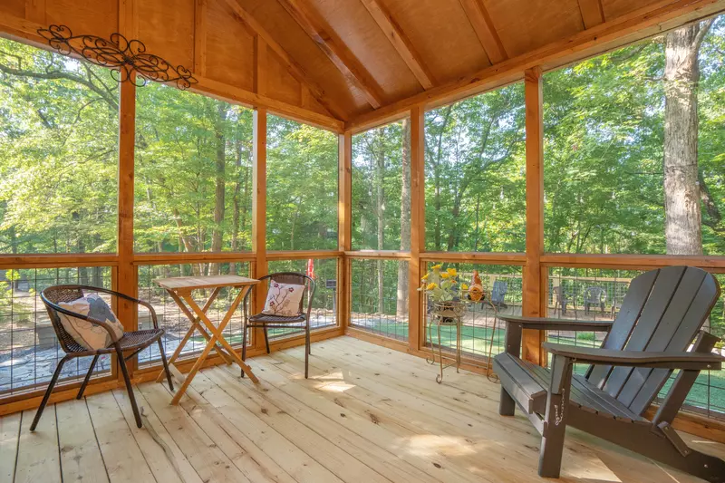 Birds Perch Hummingbird