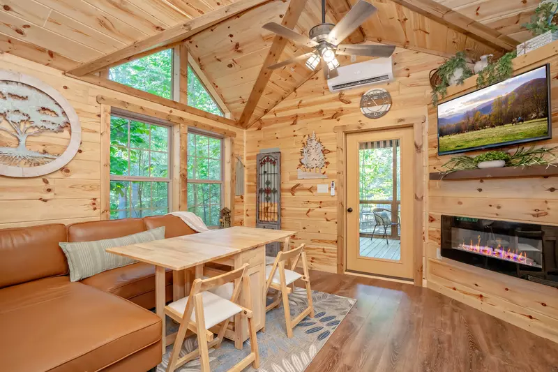 Birds Perch Hummingbird