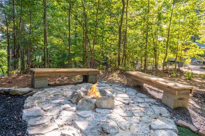 Birds Perch Hummingbird