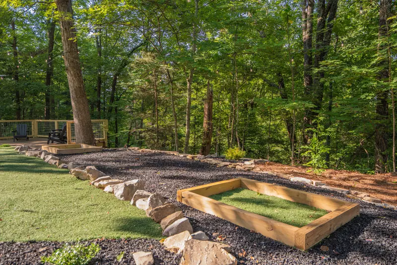 Birds Perch Hummingbird