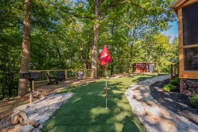 Birds Perch Hummingbird