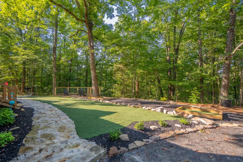 Birds Perch Hummingbird