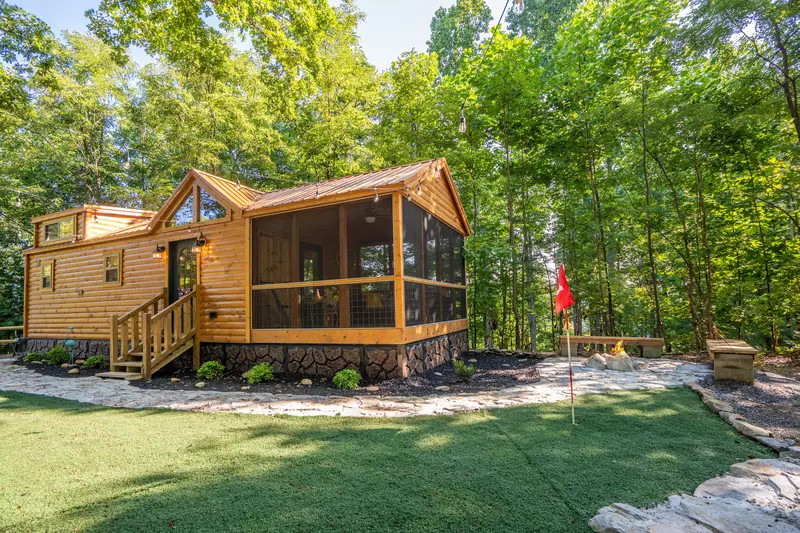 Birds Perch Hummingbird