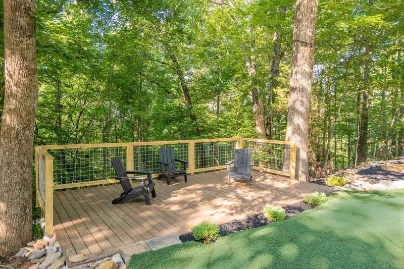 Birds Perch Hummingbird