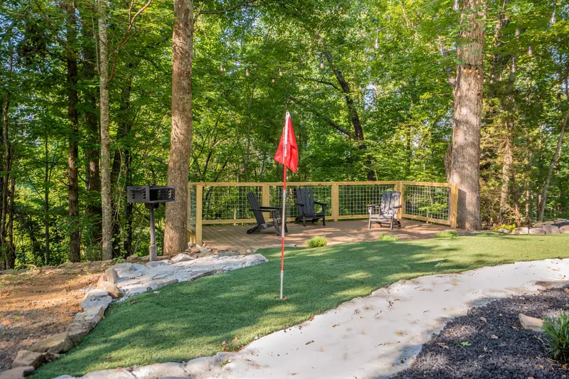 Birds Perch Hummingbird