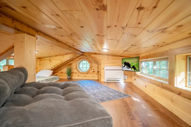 Birds Perch Hummingbird