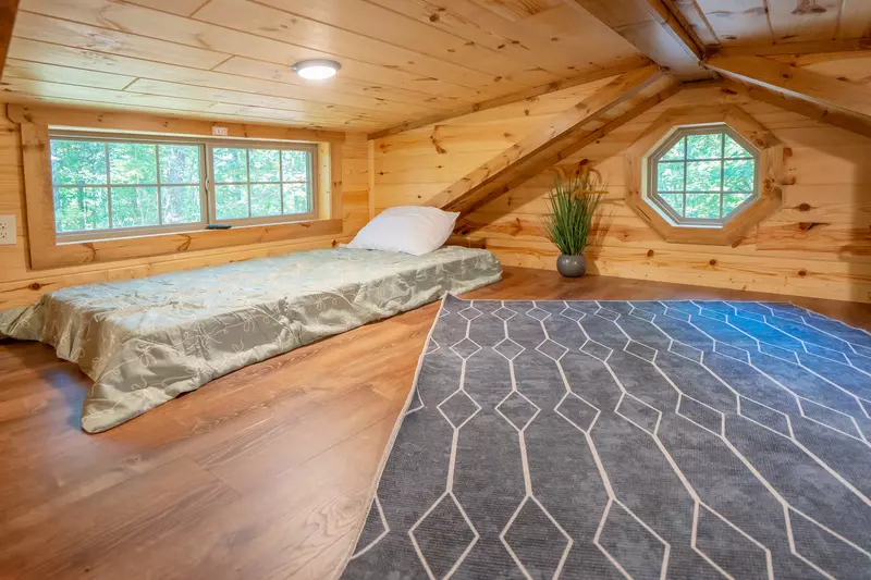 Birds Perch Hummingbird