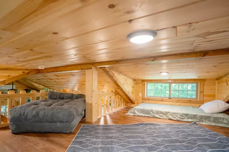 Birds Perch Hummingbird