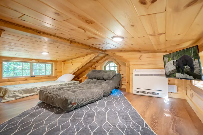 Birds Perch Hummingbird