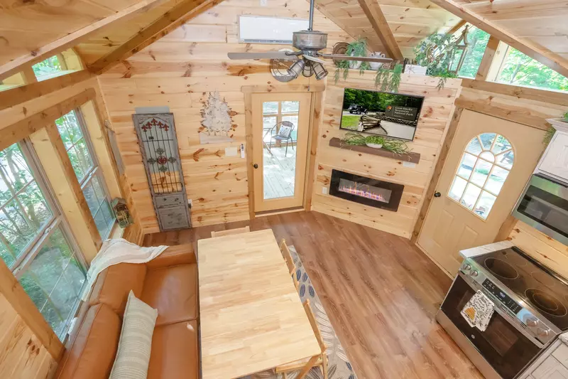 Birds Perch Hummingbird