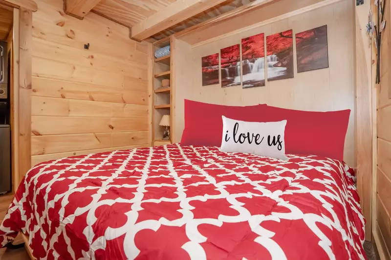 Birds Perch Hummingbird