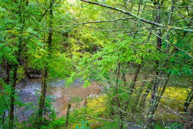 Keaton's Knotty Hideaway