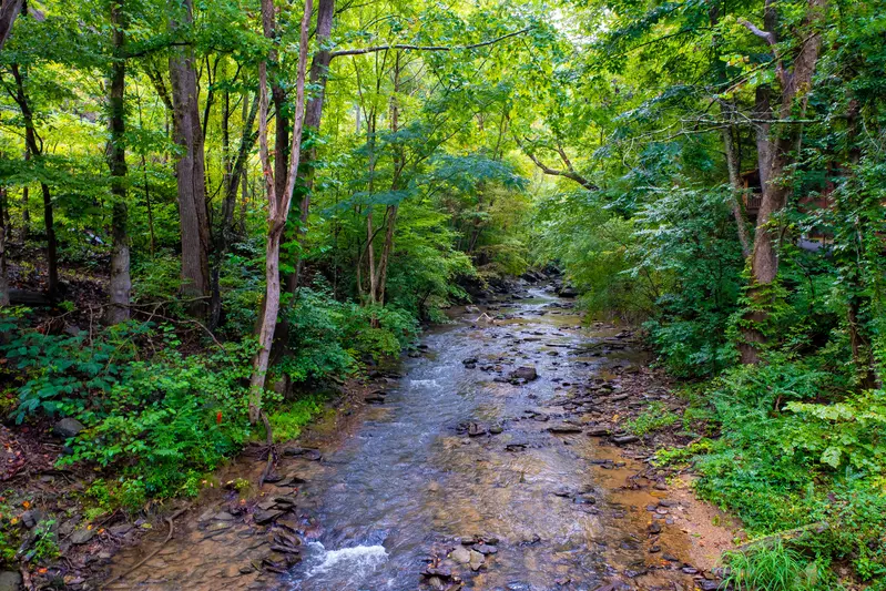 Keaton's Wild Animal Cabin