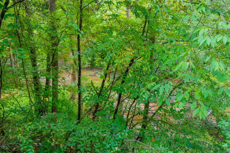 Keaton's Natures Dream