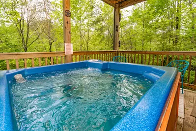 Jackson's Starry Nite Sky