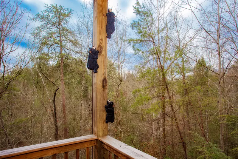 Jackson's Starry Nite Sky