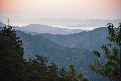mount leconte is one of the best day hikes in Great Smoky Mountains National Park