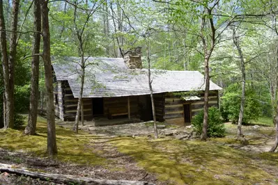 porters creek is one of the best day hikes in Great Smoky Mountains National Park