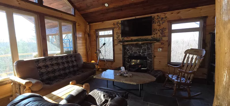 Birds Perch Bluebird