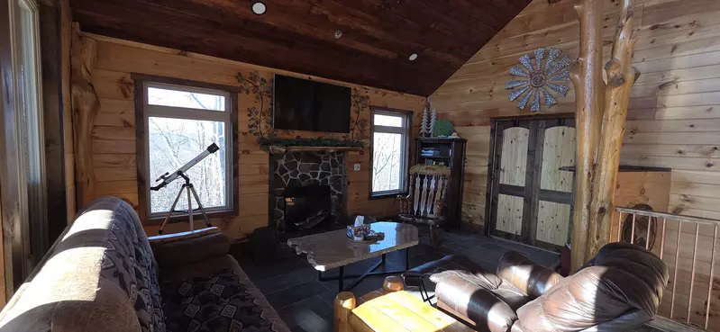 Birds Perch Bluebird