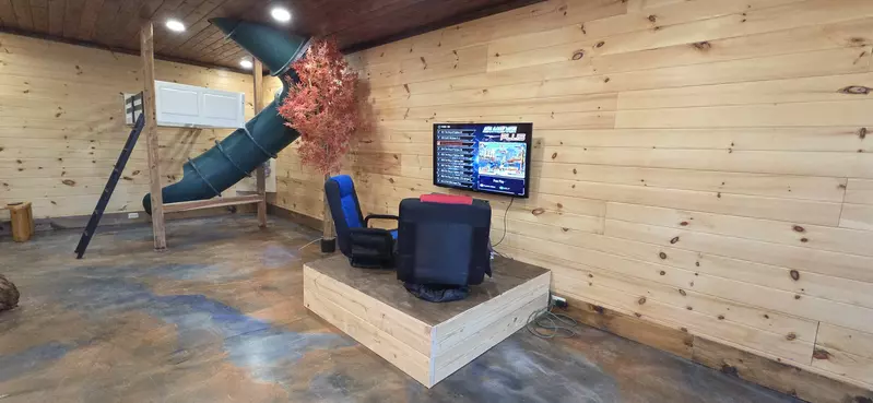 Birds Perch Bluebird