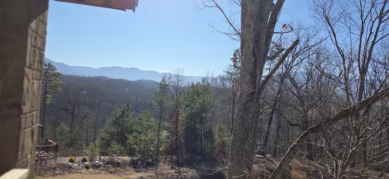 Birds Perch Bluebird