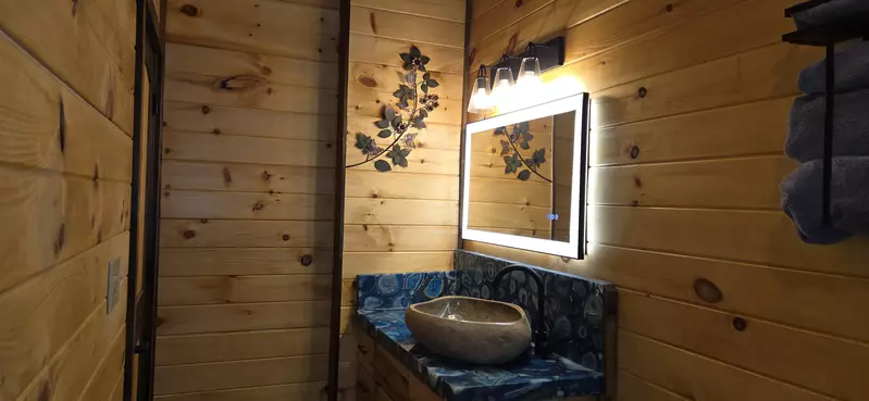 Birds Perch Bluebird