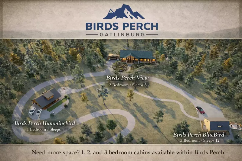 Birds Perch Bluebird