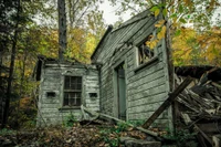 Elkmont Ghost Town is one of the best things to do in Gatlinburg off the beaten path
